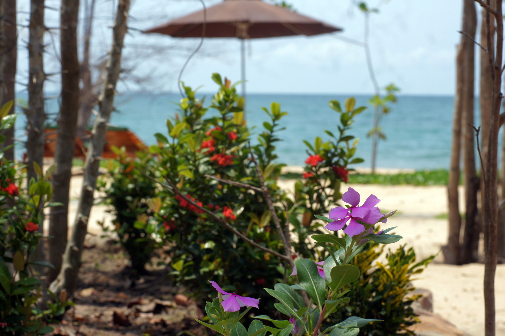 Gold Sand Beach Bungalow Phú Quốc Exterior foto